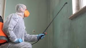 Best Black Mold Removal  in Fairbury, NE